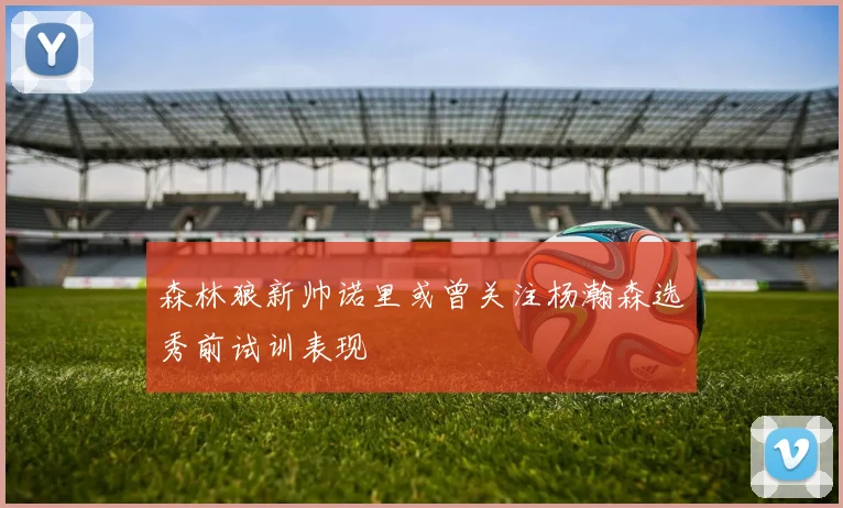 森林狼新帅诺里或曾关注杨瀚森选秀前试训表现