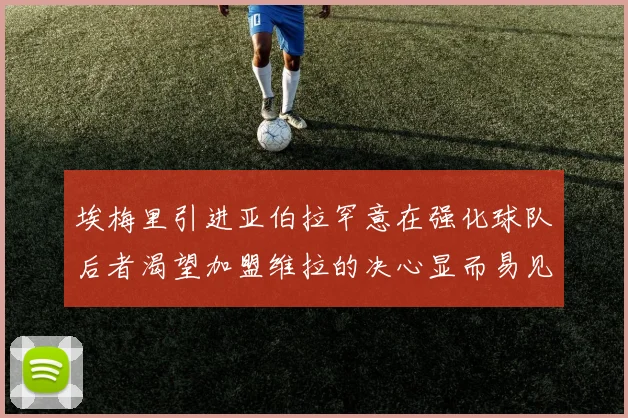 埃梅里引进亚伯拉罕意在强化球队后者渴望加盟维拉的决心显而易见